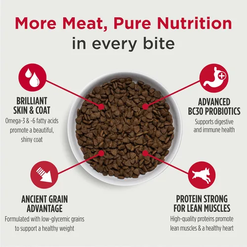 Vista 2 de Nulo Frontrunner - Alimento seco para perros, receta de carne de res alta en proteínas, cebada y cordero, croquetas naturales con granos antiguos