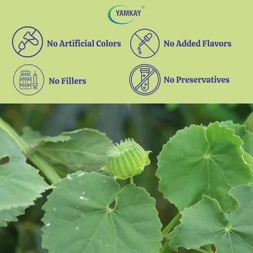 Vista 5 de Abutilon Indicum Abutilon indio Malva india Polvo Thuthi Ilai Polvo de Atibala (300 GM)