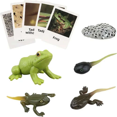 Vista 11 de Figuras del Ciclo de Vida de Animales Montessori con Tarjetas Flash, Juguetes de Figuritas de Animales Realistas, Juego Educativo de Emparejamiento