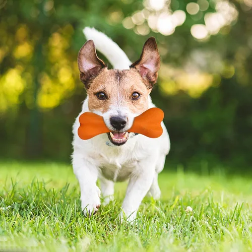 Vista 4 de Juguetes para perros para masticadores agresivos, juguete de hueso de perro súper masticable, resistente, para perros grandes y medianos, raza