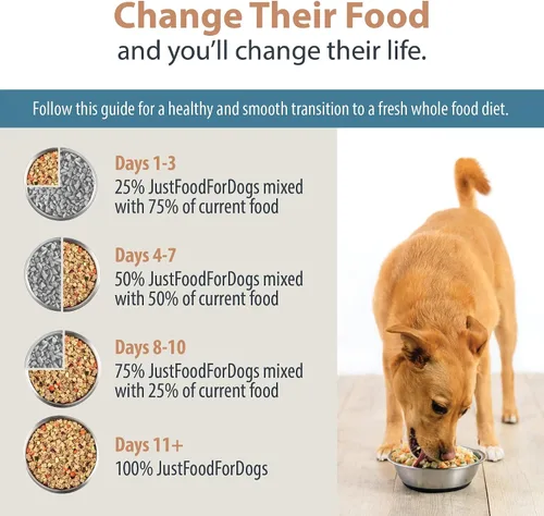 Vista 8 de JustFoodForDogs Pantry Fresh Wet Dog Food, comida completa o complemento para comida de perro, receta de comida para perros de grado humano con pavo