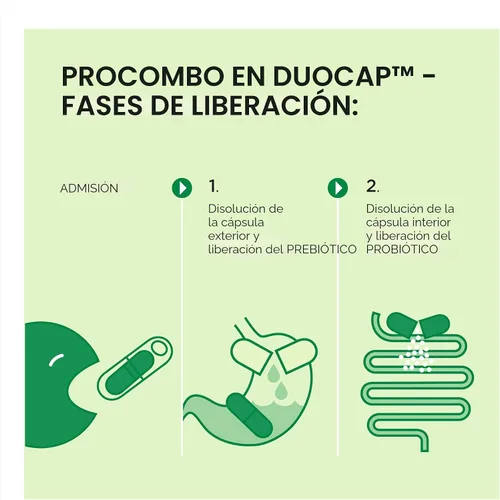 Vista 7 de ProCombo - El simbiótico inteligente con entrega dirigida de las buenas bacterias. Fórmula de cápsula doble y líquido para resultados rápidos. 1