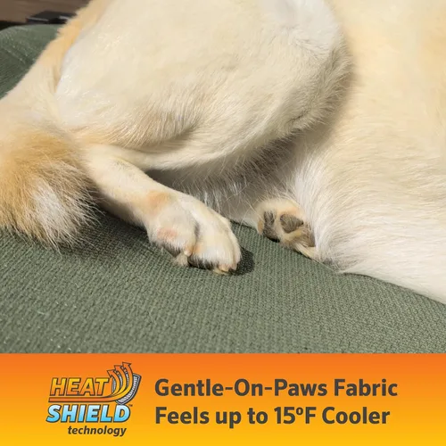 Vista 2 de Cama Elevada para Perros Coolaroo Pro con Tela HeatShield – Catre Elevado de Enfriamiento Avanzado para Razas Pequeñas y Medianas, Fácil de Limpiar