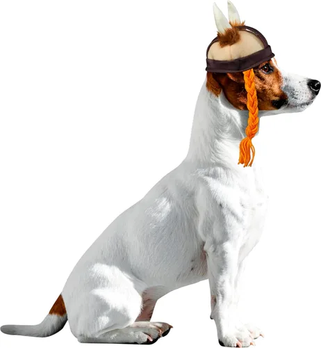 Vista 4 de Rubies Costume Company sombrero de vikingo con trenzas, para mascotas, S / M
