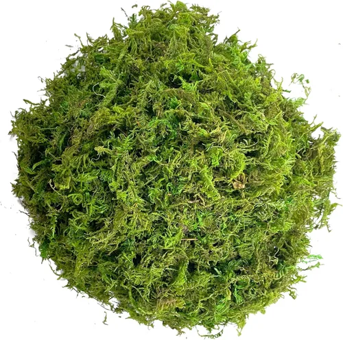 Vista 8 de Musgo verde para manualidades, musgo artificial decorativo para plantas en maceta, orquídea sintética, musgo, mezcla de tierra, turba, esfagno