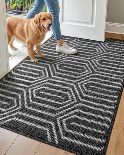 Vista 13 de DEXI - Alfombras para puerta de entrada, antideslizante, lavable, absorbente, resistente a la suciedad en el interior, alfombra de entrada de perfil