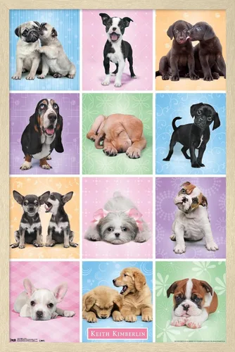 Vista 6 de Trends International Póster de pared Puppies Cuties, 22.375 x 34 Versión con marco negro