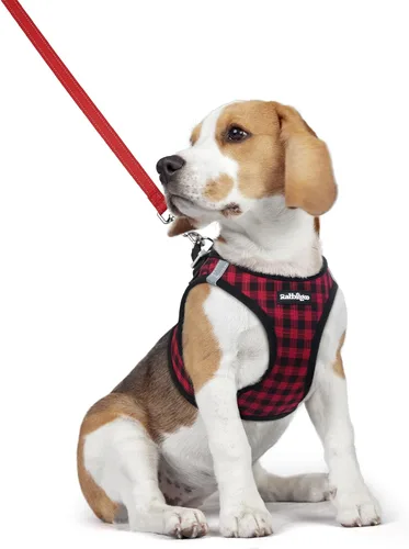 Vista 186 de rabbitgoo Arnés para perro de tamaño pequeño y juego de correa, chaleco Cachorros de manzana