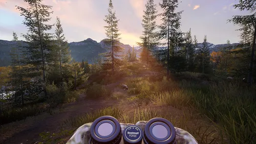 Vista 12 de Hunting Simulator 2 Nintendo Switch