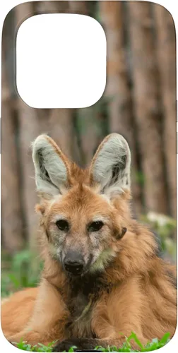 Vista 14 de Funda para iPhone 13 Pro Max Maned Wolf