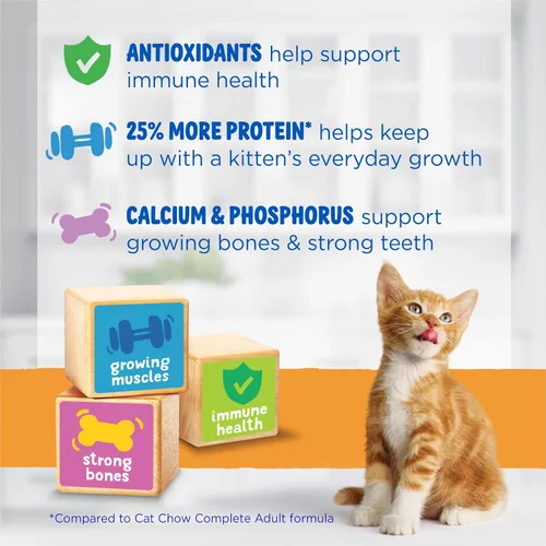 Vista 9 de Alimento seco para gato con fórmula nutritiva de Purina Kitten Chow, 14 lb