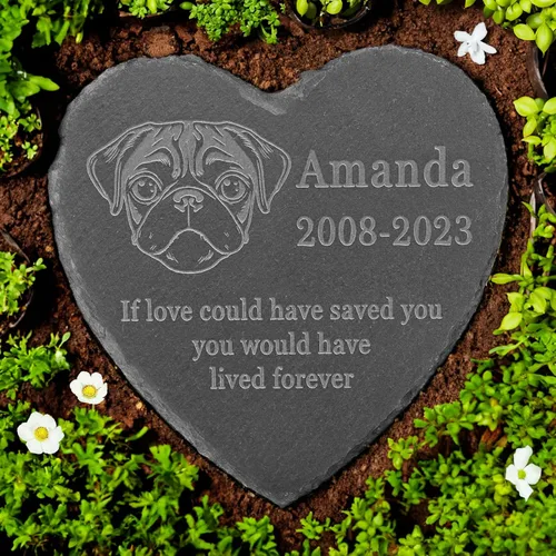 Vista 25 de Memorial personalizado de American Staffordshire Terrier, lápida de American Staffordshire Terrier, condolencias por pérdida de American