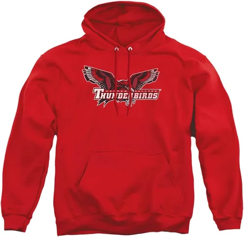 Vista 25 de Distressed College Primary Logo Adult Pullover Hoodie Collection 1 Universidad Estatal de Albany