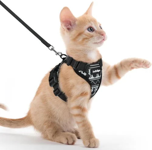Vista 91 de rabbitgoo Cat Harness and Leash Set, Escape Proof Vest, Berry Pounce