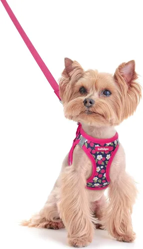 Vista 105 de rabbitgoo Arnés para perro de tamaño pequeño y juego de correa, chaleco Cachorros de manzana