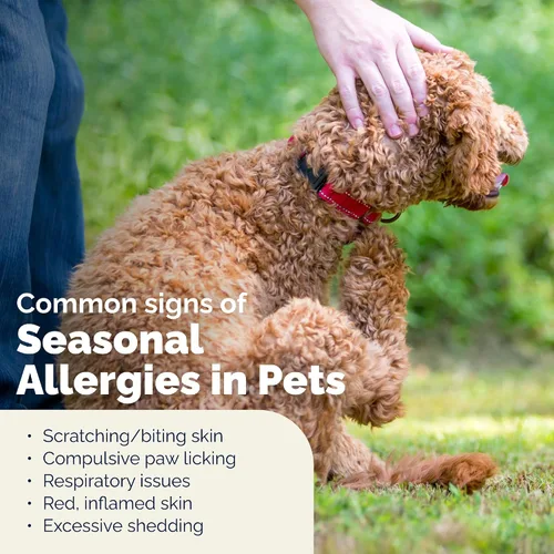 Vista 6 de Vetnique Dermabliss Spray Anti-Picazón para Perros y Gatos con Hidrocortisona para Alergias y Alivio Inmediato de la Picazón de la Piel del Perro