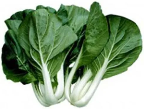 Vista 2 de Cabbage Pak Choi White Stem Great Heirloom Vegetable by Seed Kingdom Bulk Semillas de 1 libra