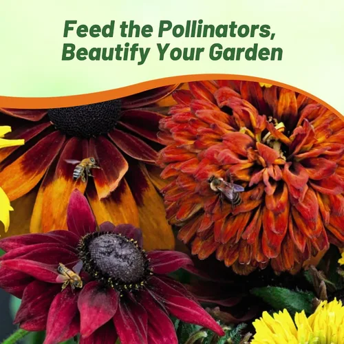 Vista 6 de Outsidepride All Sorts Mix Rudbeckia Seeds - 100 unidades. Semillas de flores anuales, fáciles de cultivar y auto-siembradas para plantar flores