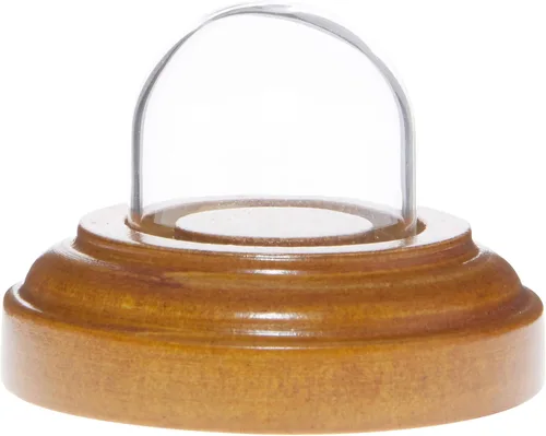 Vista 6 de Plymor Miniatura 1" x 1" Mini Cúpula de exhibición de cristal Tiny Cloche (base de chapa de madera negra)