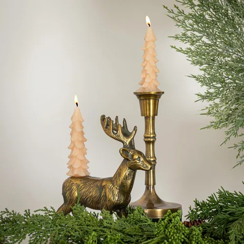 Vista 3 de Creative Co-Op Velas cónicas en forma de árbol sin perfume, ponche de huevo, juego de 2 en caja, 5 pulgadas Eggnog