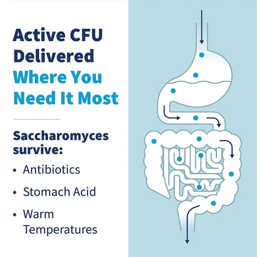 Vista 4 de SFI Health Klaire Labs Ther-Biotic Saccharomyces Boulardii Probióticos para mujeres y hombres - Probióticos S Boulardii para la salud digestiva