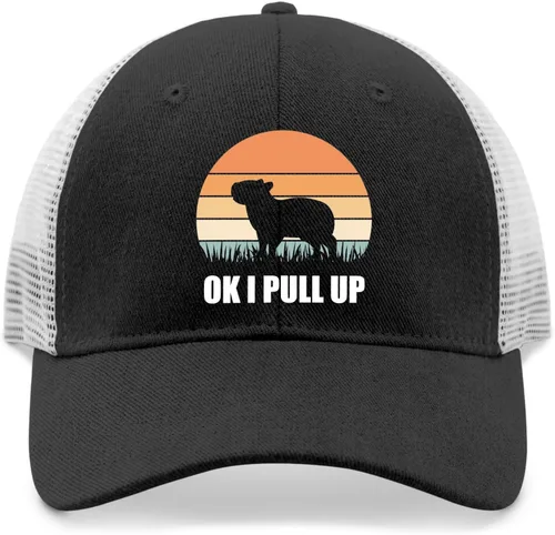 Vista 9 de devor Baseball Cap Ok I Pull Up Baseball Caps for Men Graphic Dad Hats Adjustable