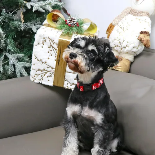 Vista 5 de Aring Pet Collar navideño para perro, lindo, ajustable, de algodón, para cachorros, perros pequeños, medianos y grandes, con copos de nieve, rojo Z