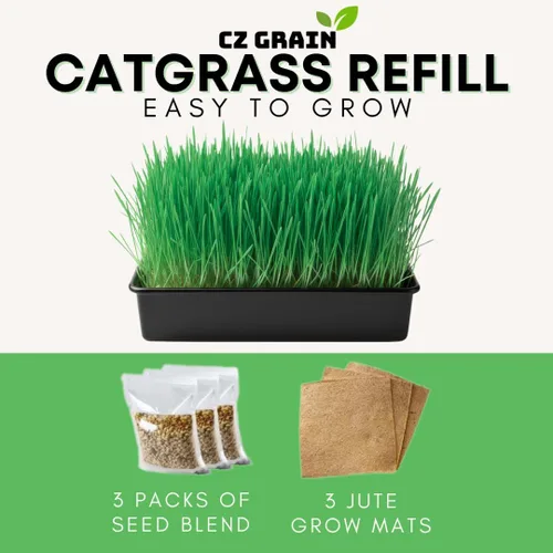 Vista 2 de Kit de cultivo de hierba para gatos, semillas orgánicas, tapetes de cultivo de yute, contenedor de cultivo de 10 x 10 pulgadas, ideal para gatos
