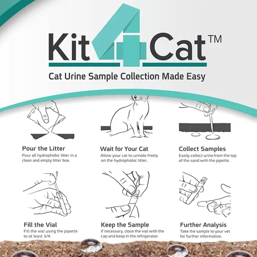 Vista 5 de KIT4CAT Paquete de 10 parámetros de muestra y prueba: arena hidrofóbica de 2 libras que mantiene la orina en la parte superior para un fácil