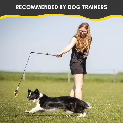 Vista 2 de YES4QUALITY Poste de coqueteo para perros – Seguro y fuerte para razas grandes con cuerda no elástica – Poste de resorte para tira y afloja, juego