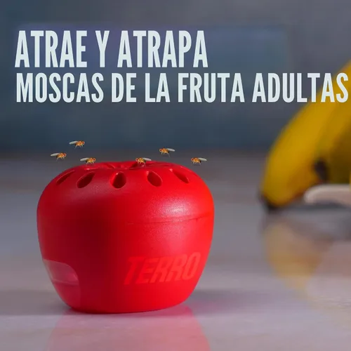 Vista 2 de Trampa para moscas de fruta Terro, paquete de 4