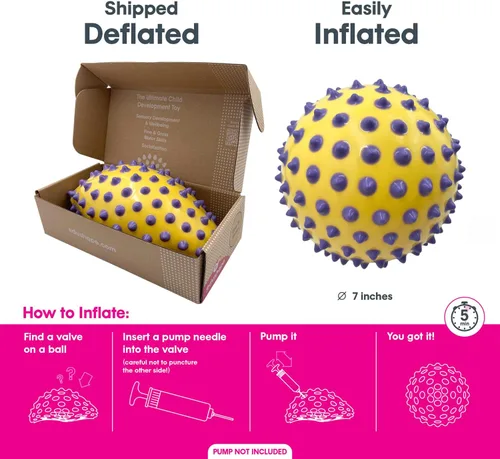 Vista 3 de Edushape Pelota sensorial original, bola de bebé de 7 pulgadas para el desarrollo de habilidades motoras gruesas en niños de 6 meses en adelante