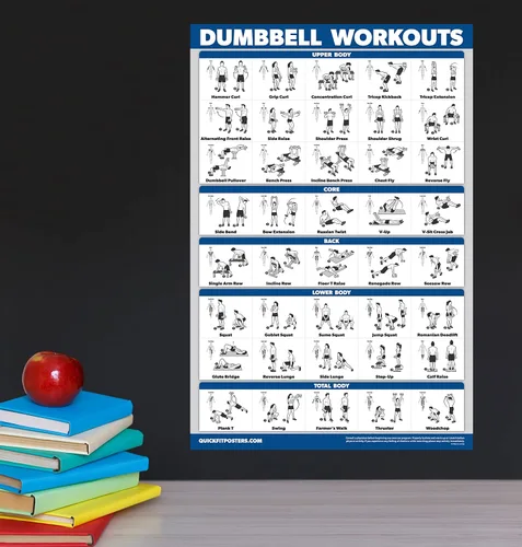 Vista 4 de Palace Learning Juego de póster de ejercicios con mancuernas y peso corporal, juego de 2 tablas laminadas, rutina de ejercicio con mancuernas