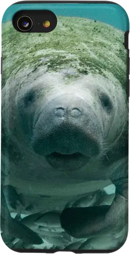 Vista 18 de Manatee Case for iPhone 17
