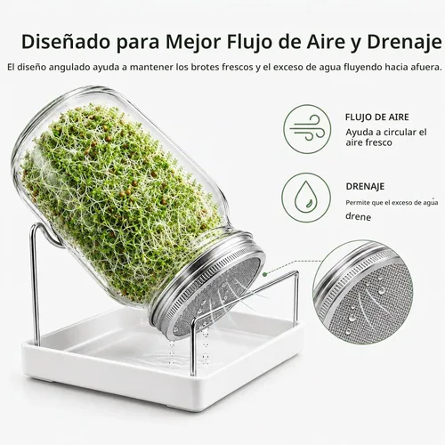 Vista 5 de Kit de tarros de germinación de semillas – 2 tarros de masón de boca ancha con tapas de germinación de acero inoxidable 316, bandeja de goteo