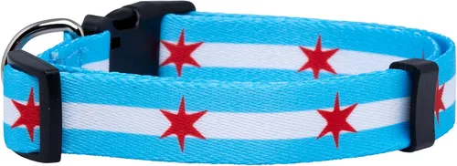 Vista 2 de Native Pup Collar de perro con bandera de Chicago (Chicago Big Stars, S)