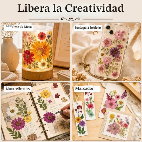 Vista 7 de 80 piezas de flores prensadas para resina con pinzas curvadas 80 piezas multicolor surtidas