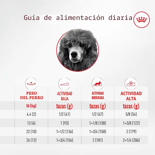 Vista 9 de ROYAL CANIN Poodle - Alimento seco para perros adultos, bolsa de 2.5 libras