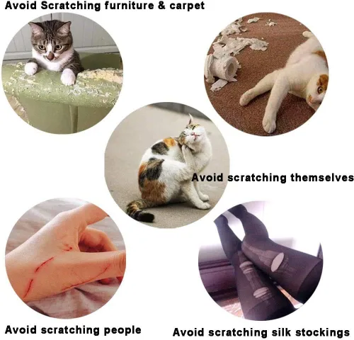 Vista 3 de YMCCOOL 100 tapas de uñas de gato, cubiertas transparentes para patas de gato, puntas de uñas para mascotas con adhesivos y aplicadores, extra