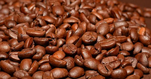 Vista 5 de Organic Morning Star, 12 oz. Café molido fresco, tostado medio, 1 bolsa