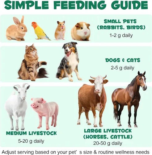 Vista 9 de ALIVO Polvo de carbón activado para perros, gatos, suplemento de salud en polvo de carbón activado, apoya el bienestar digestivo y la frescura oral