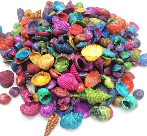 Vista 8 de PEPPERLONELY Conchas marinas teñidas de colores surtidos, 5 onzas, tamaño 1/4 pulgada