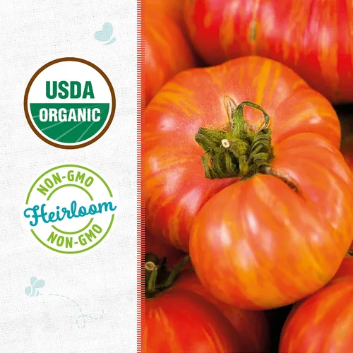 Vista 2 de Back to The Roots Paquete de semillas 100% orgánicas - Tomate 'Big Rainbow' 100mg Paquete de Semillas de 2ct - Tomate 'San Marzano