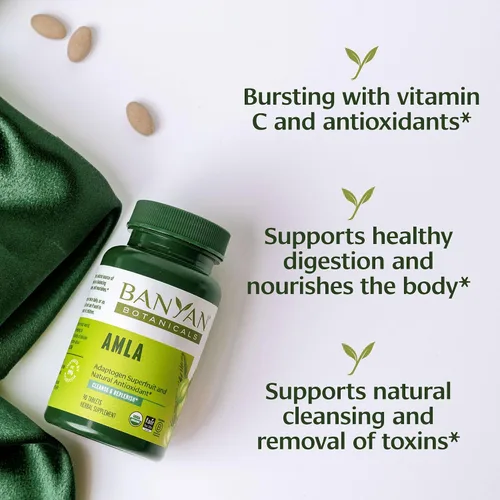 Vista 4 de Banyan Botanicals Tabletas orgánicas de Amla – Vitamina C natural para apoyo de colágeno y salud inmunológica – Grosella espinosa india Amalaki