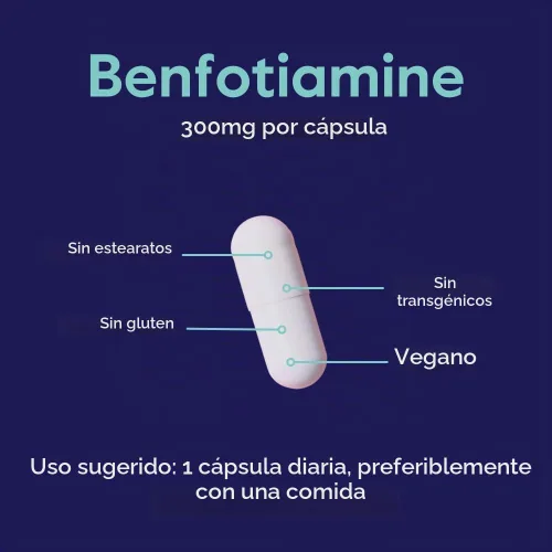 Vista 5 de BESTVITE Benfotiamina 300mg (60 cápsulas vegetales) - Sin estearatos