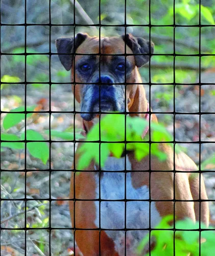 Vista 4 de Valla para mascotas Tenax Select