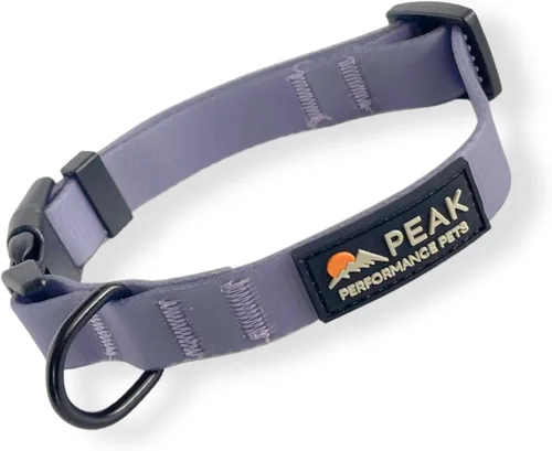 Vista 9 de Overlook Collar Impermeable para Perros Pequeño Aqua/Naranja Tribal, Duradero, Cómodo, Moderno Cachorros y Perros Pequeños Fácil de Limpiar, A