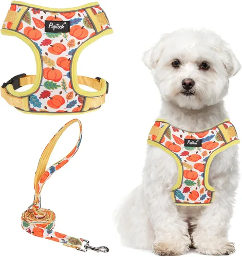 Vista 14 de PUPTECK Juego de arnés y correa para perro pequeño, arnés ajustable sin tirones para cachorro, chaleco de malla suave reflectante para mascotas