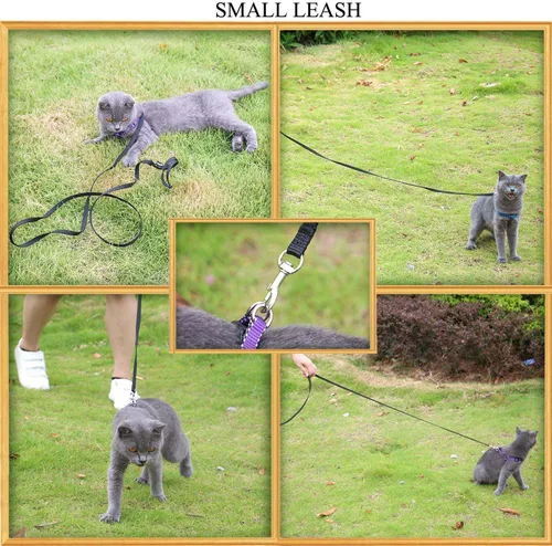Vista 4 de AMAGOOD 6 pies de correas para cachorros/perros, correa de estilo tradicional resistente con gancho de cuello fácil de usar, correa para perros Negro