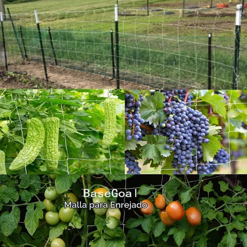 Vista 6 de BaseGoal - Red de celosía flexible para plantas de jardín, vid, cultivos, para todo tipo de clima